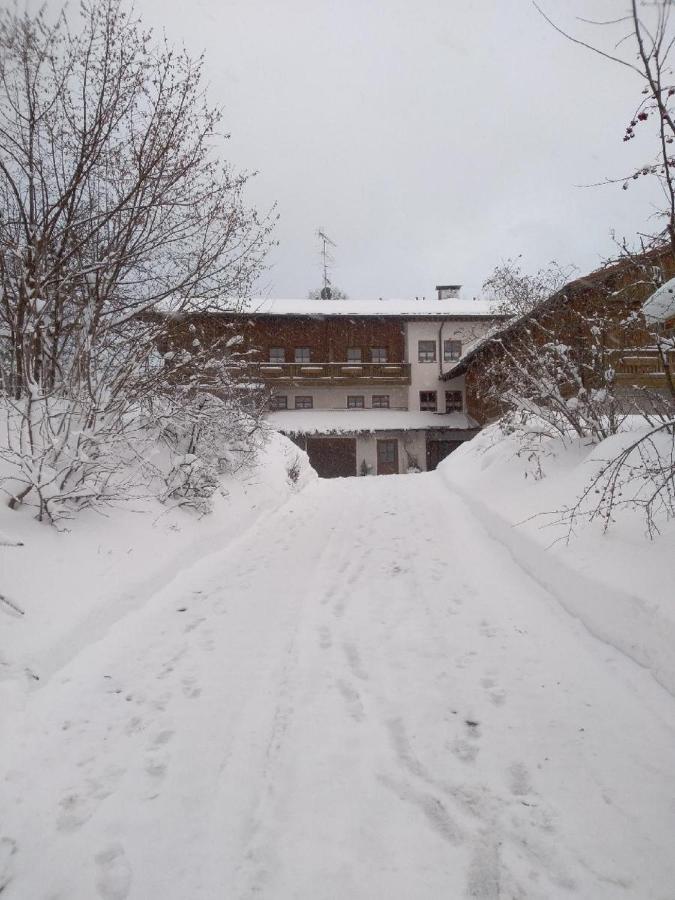 Pension Egner-Riess Arnbruck Exteriör bild